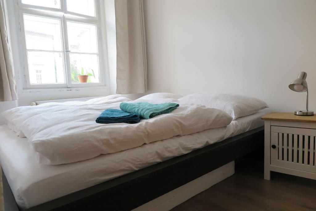 Hradcany Apartment With Green Energy Praha Bagian luar foto